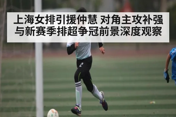 上海女排引援仲慧 对角主攻补强与新赛季排超争冠前景深度观察